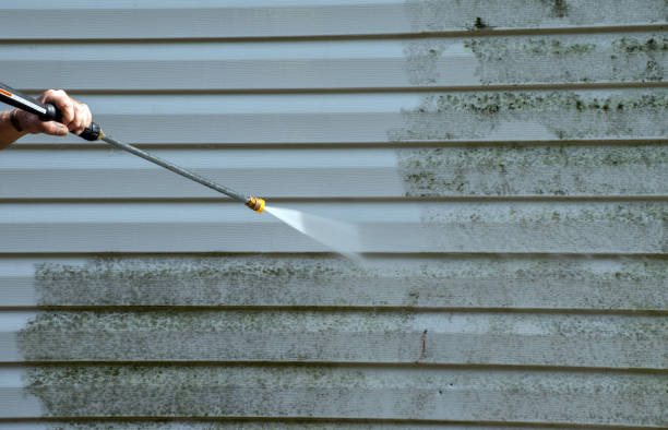 Best Local Pressure Washing Services  in Newtown, PA